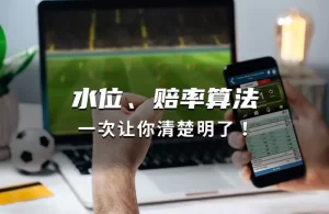 在体育博彩领域中，水位和赔率是两个非常重要的概念