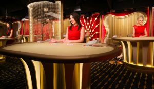 Tracey Winslow女士：深耕博彩科技的资深领袖-九鼎体育