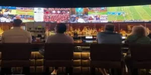 新手指南与实用技巧-九鼎体育