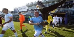 观察：传统仪式的暂停与重建-九鼎体育