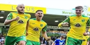 诺维奇失控的真实原因：战术执行、心理韧性双重崩塌- 九鼎体育